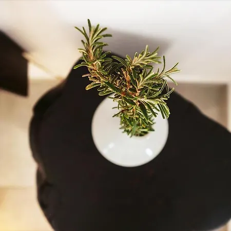 Andromeda Residences * Astypálaia