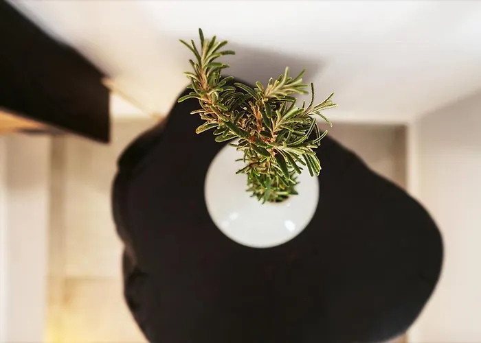 Andromeda Residences * Astypálaia