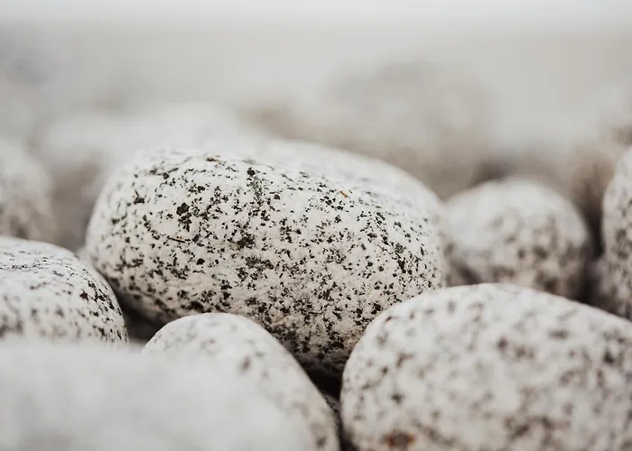 Daire Andromeda Residences