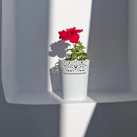 Andromeda Residences Apartamento