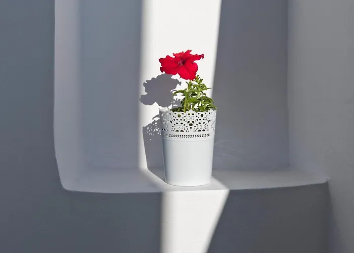 Andromeda Residences Apartamento